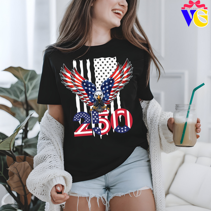 Usa 250 Anniversary Comfort Color T-Shirt