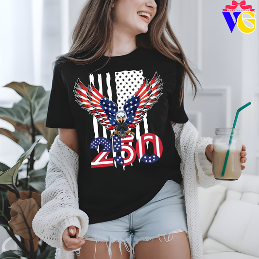 Usa 250 Anniversary Comfort Color T-Shirt