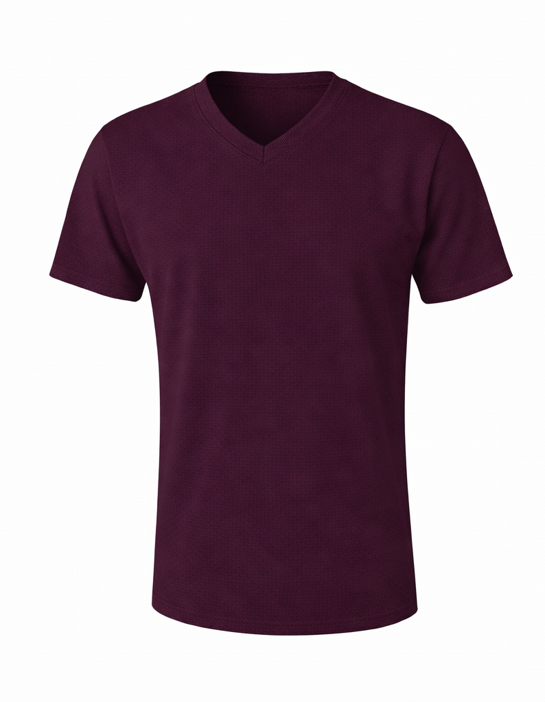 UNISEX V-NECK SHORT SLEEVE PREMIUM TSHIRT
